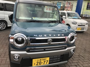 4月の大商談会始まります！！